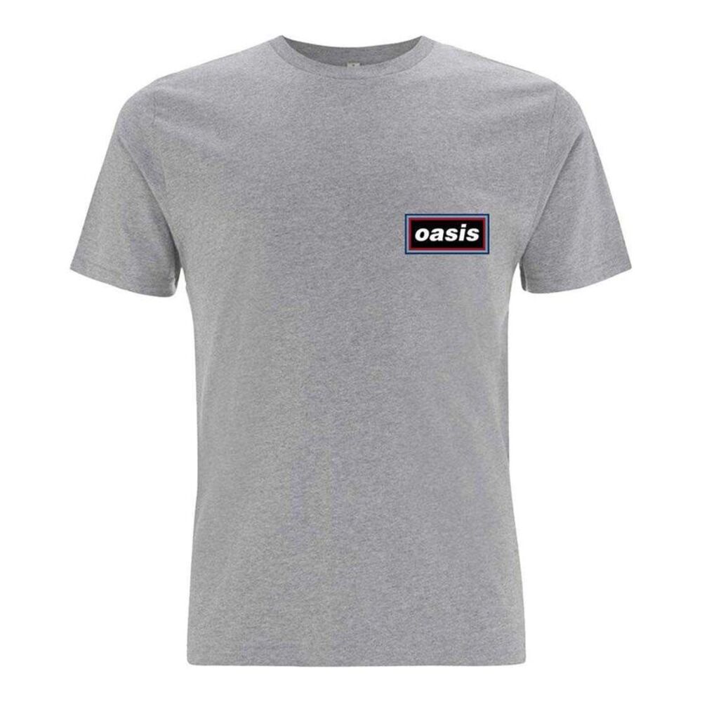 Oasis Unisex Adult Lines T-Shirt / Gray